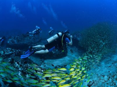 Curso Buceo PADI Corrientes