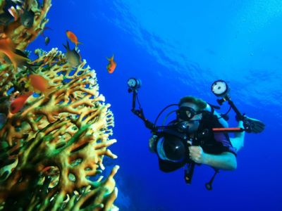 Curso Buceo PADI Imagen Submarina