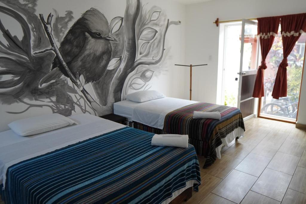 Vista habitación hotel morning Glory en Santa Cruz